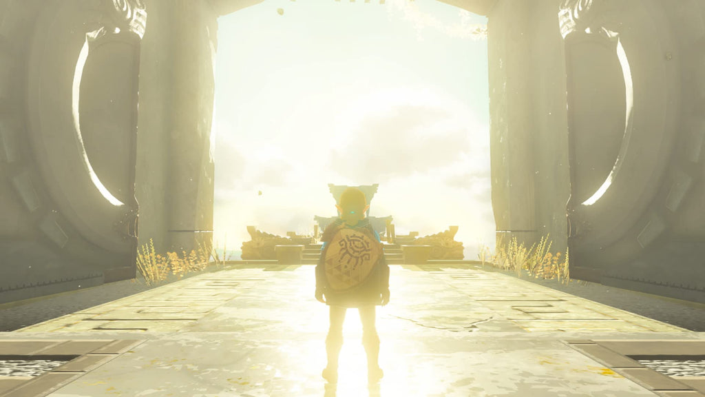 The Legend of Zelda: Tears of The Kingdom W878246