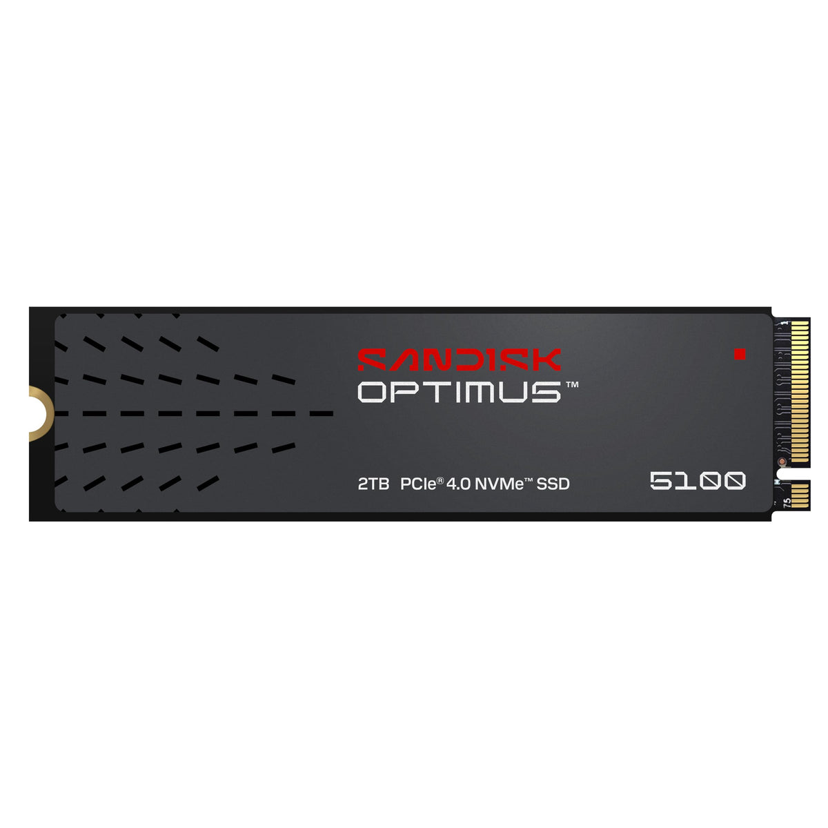 2TB NVMe SSD, PCIe 4.0, M.2 2280 J13829