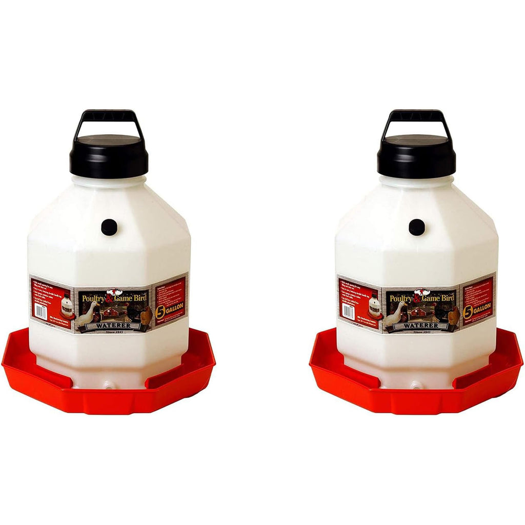 5 Gallon Hanging Automatic Poultry Waterer Dispenser, 2-Pack T880252