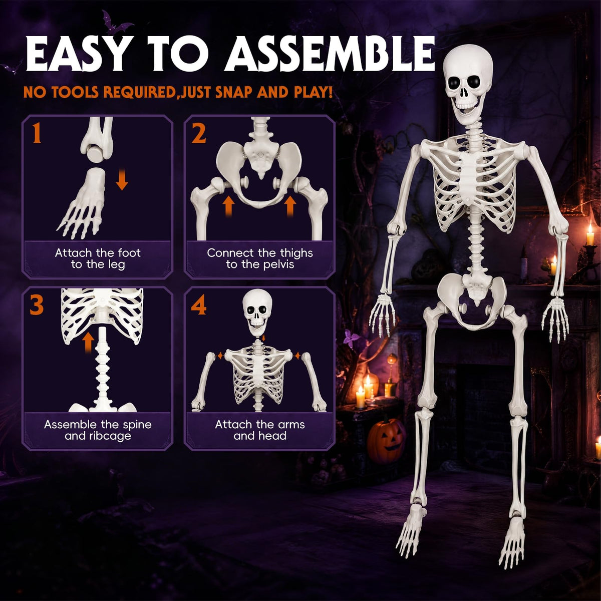 Poseable Life Size Skeleton Z4671