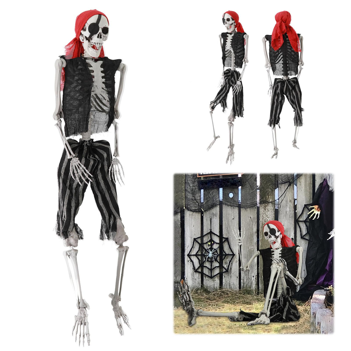 Life Size Skeleton with Joints L86696