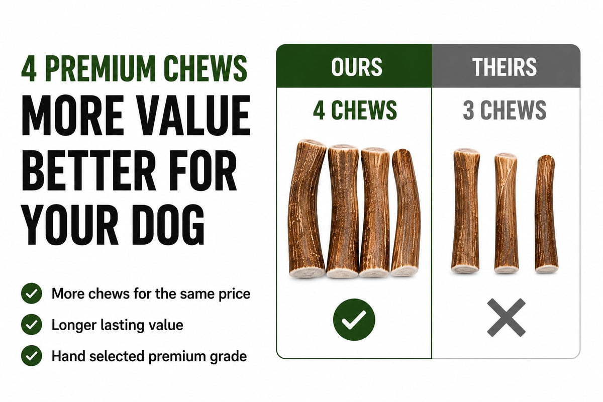 Deer Antler Dog Chews One Pound H546