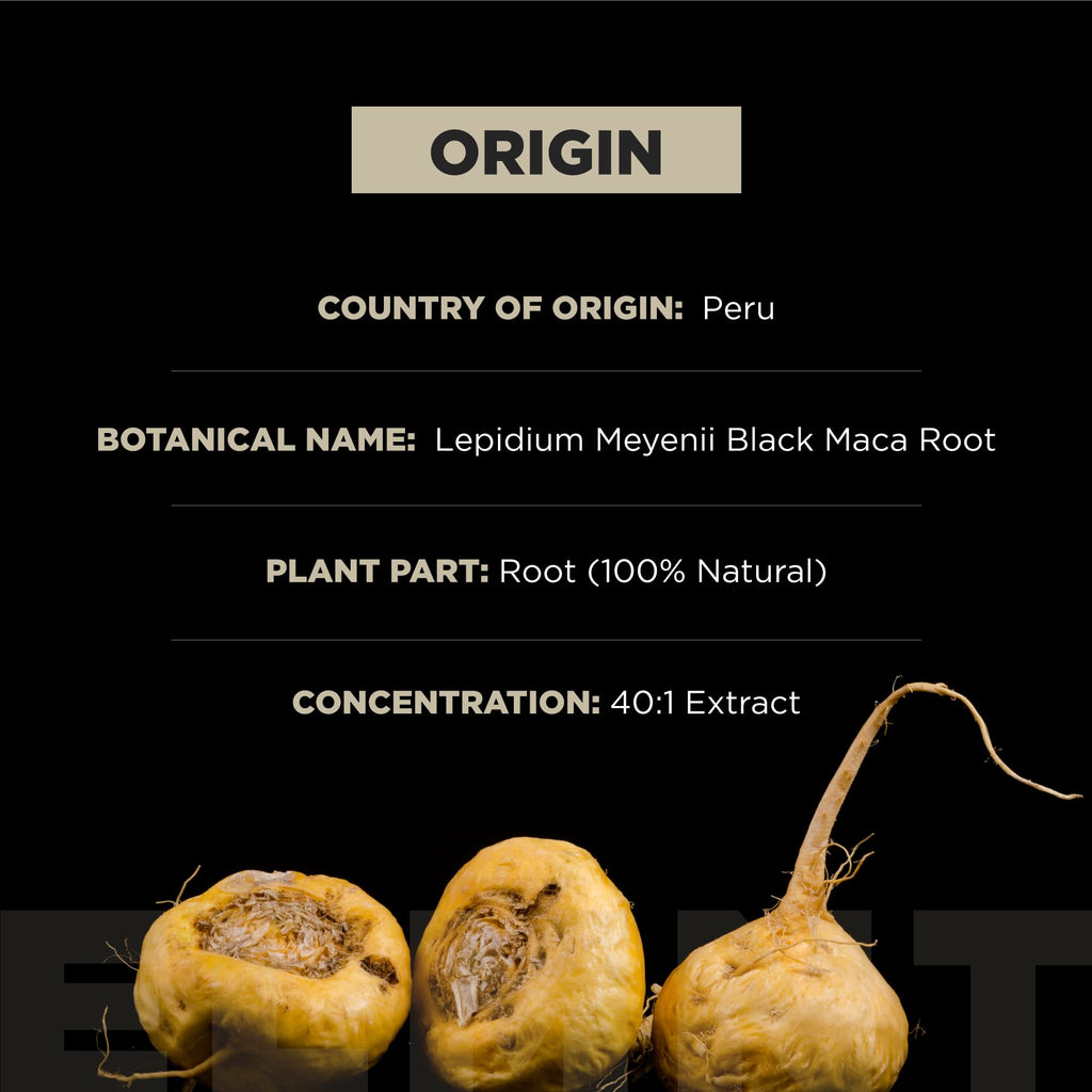 Organic Black Maca Root with Ashwagandha R57547