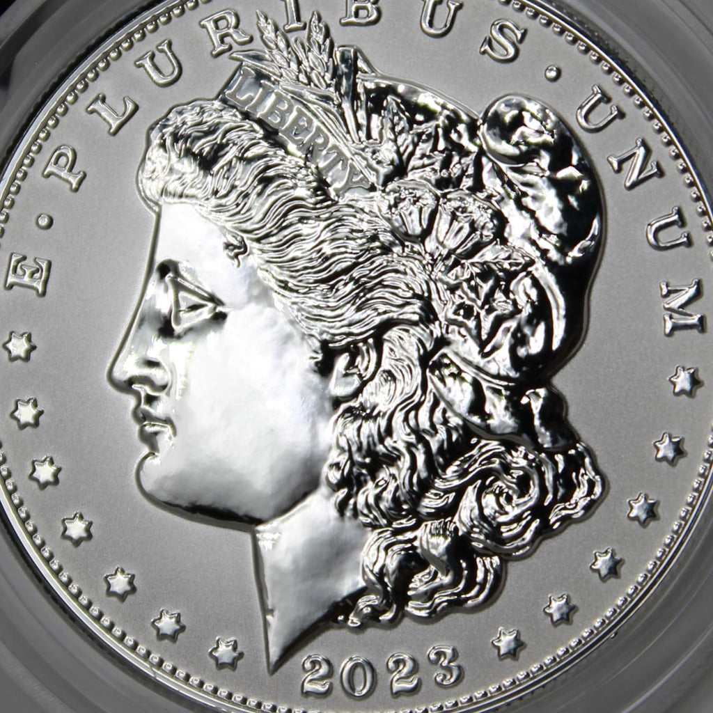 American Silver Morgan Dollar Reverse Coin Y9214