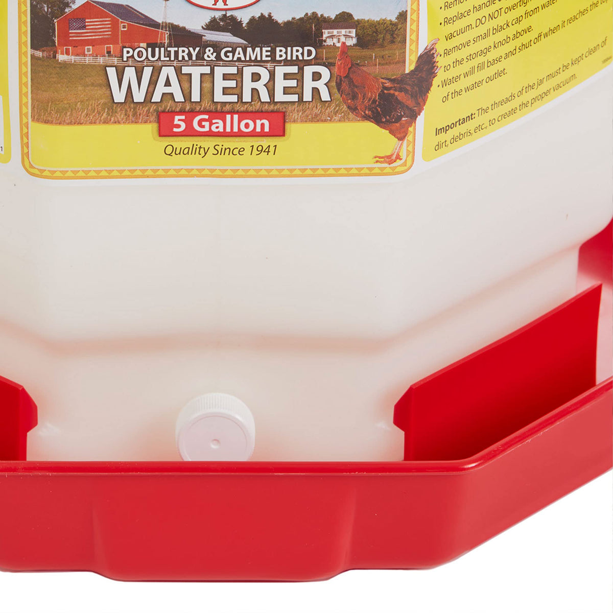 5 Gallon Hanging Automatic Poultry Waterer Dispenser, 2-Pack T880252