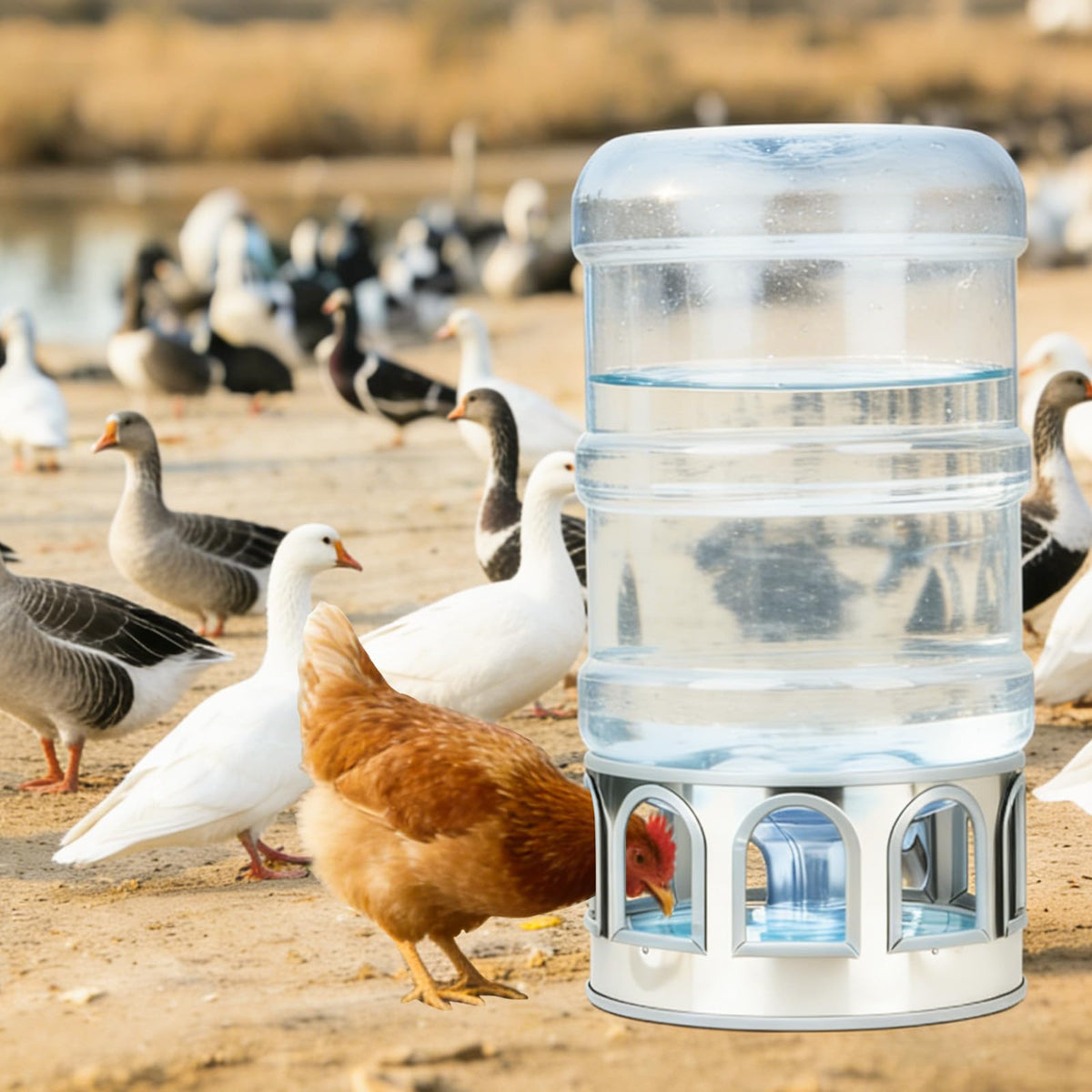 5 Gallon Stainless Steel Poultry Waterer Base with 9 Guarded Drinking Ports D6054