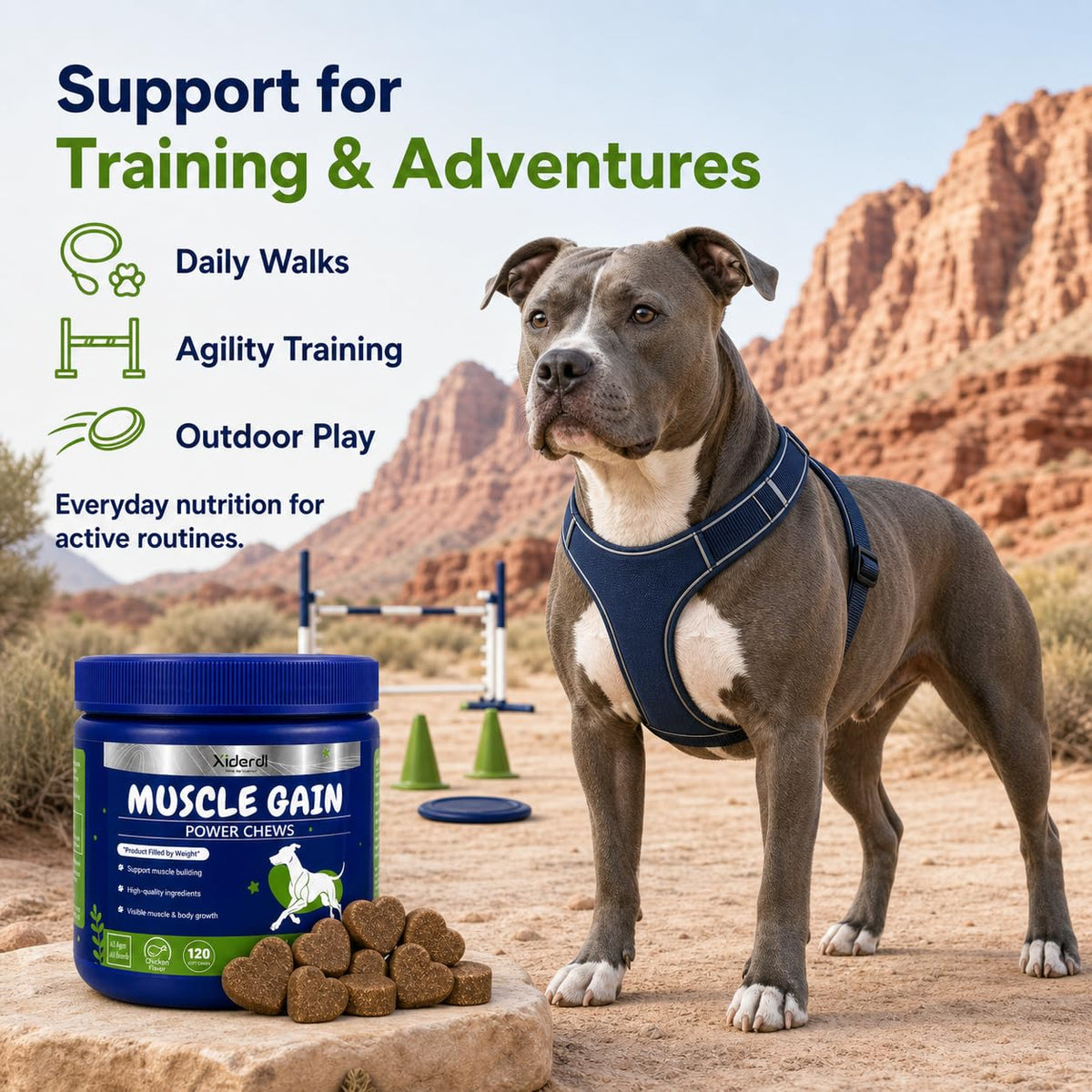 High Protein Muscle Support Soft Chews for Dogs, 120 Count D67986