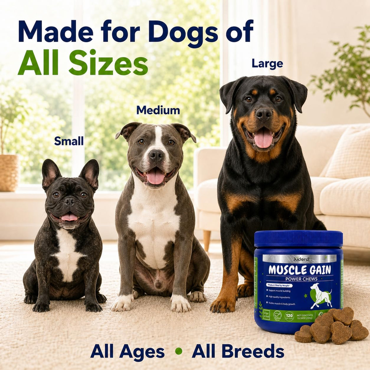 High Protein Muscle Support Soft Chews for Dogs, 120 Count D67986