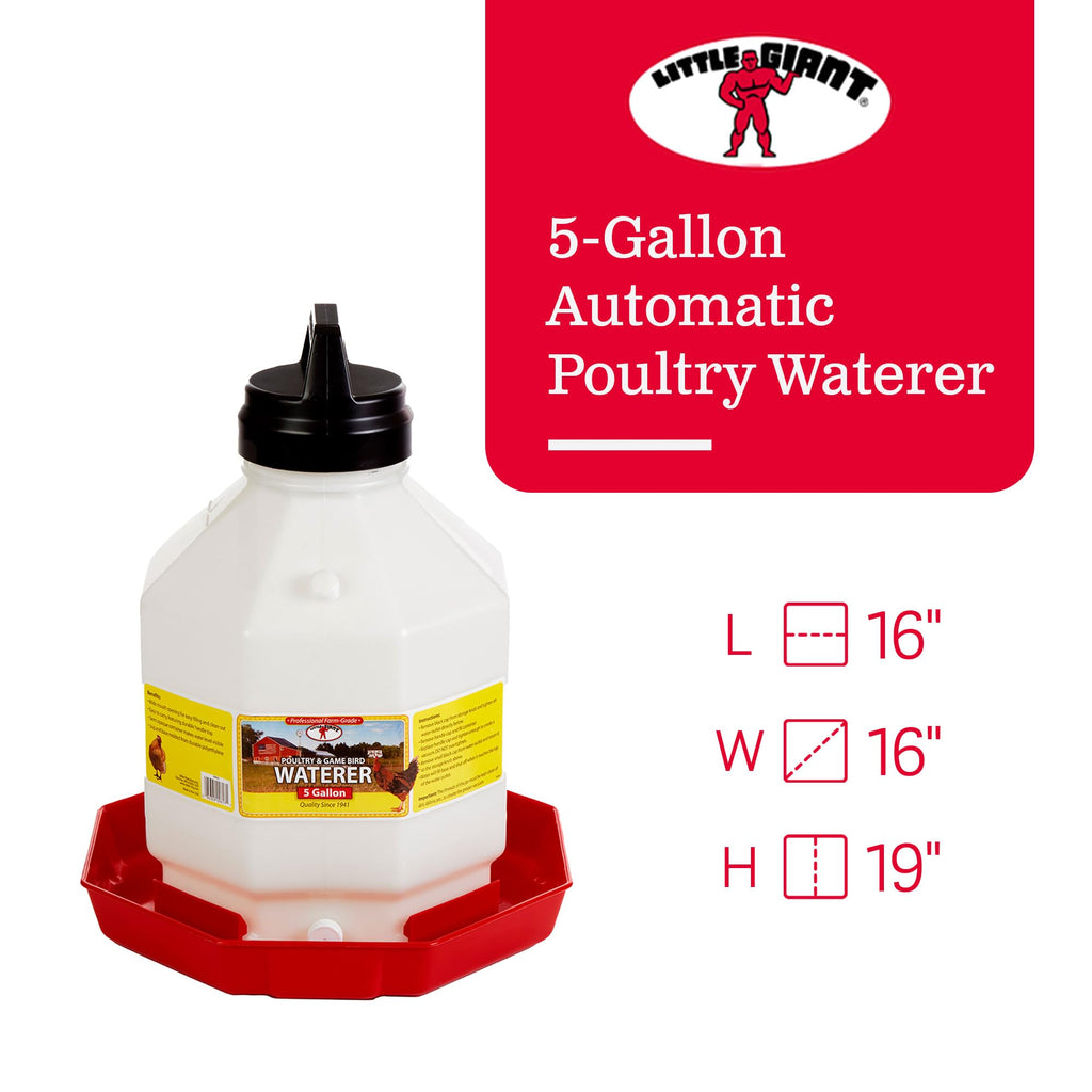 5 Gallon Hanging Automatic Poultry Waterer Dispenser, 2-Pack T880252