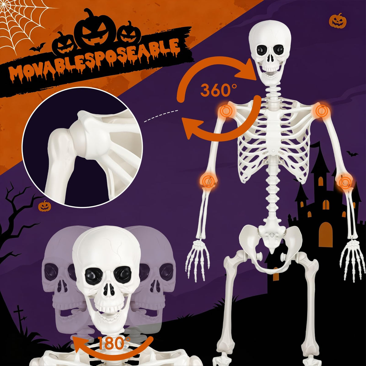 Poseable Life Size Skeleton Z4671