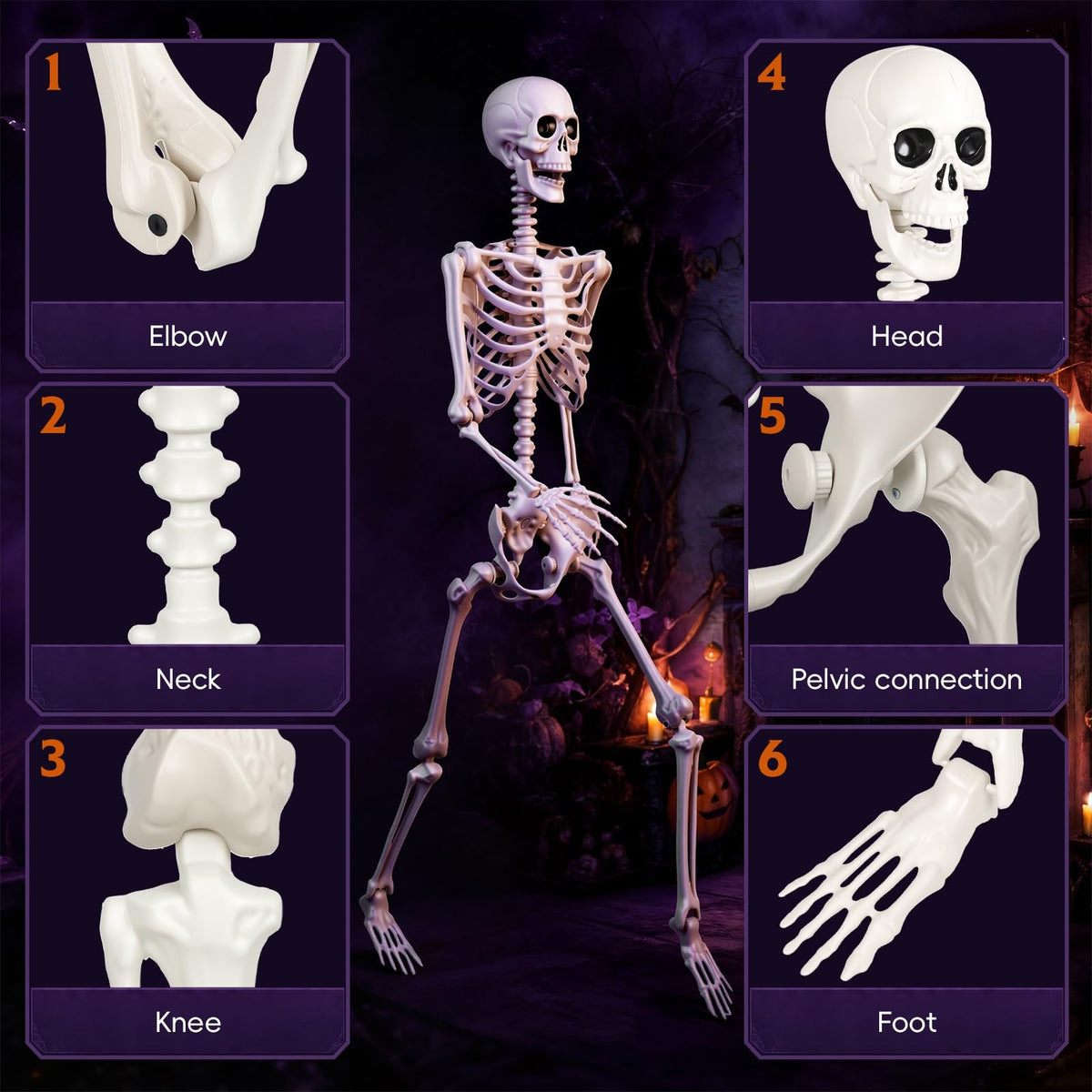Poseable Life Size Skeleton Z4671