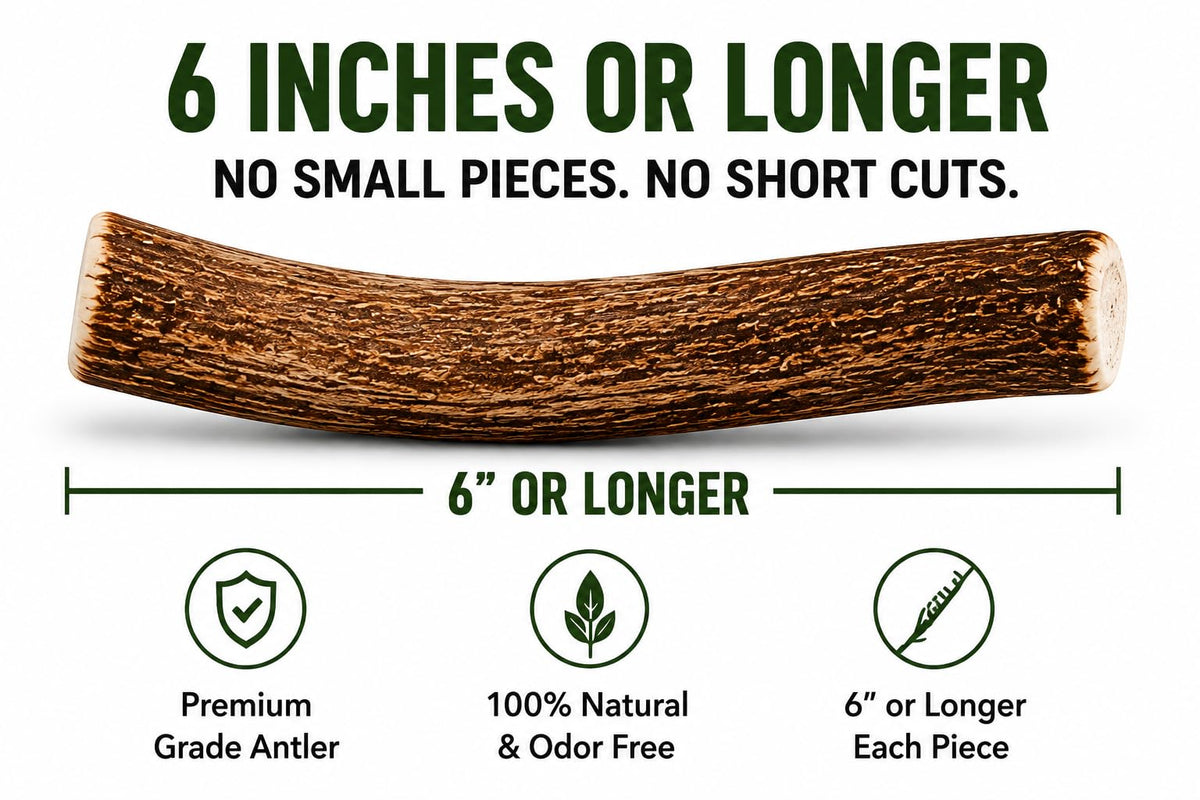 Deer Antler Dog Chews One Pound H546