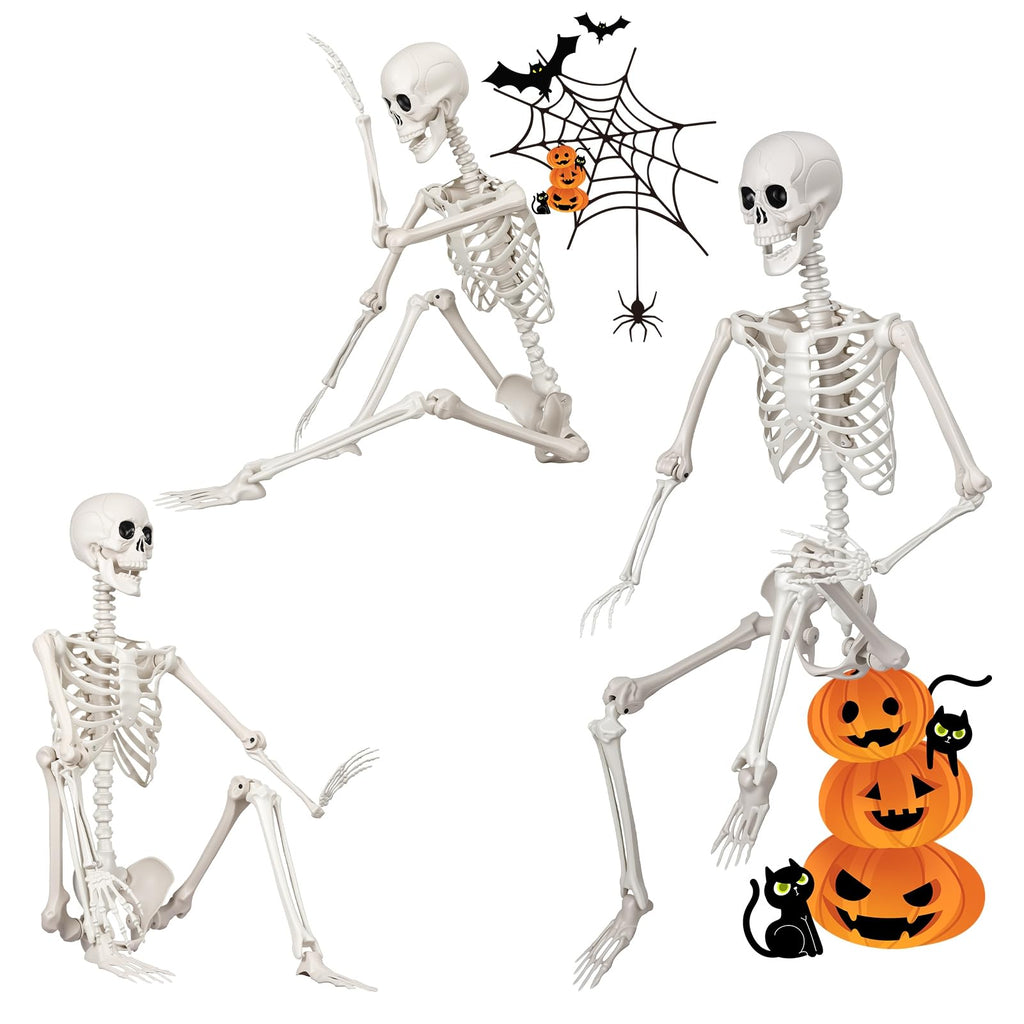 Poseable Life Size Skeleton Z4671