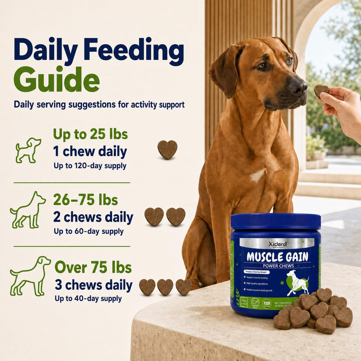 High Protein Muscle Support Soft Chews for Dogs, 120 Count D67986