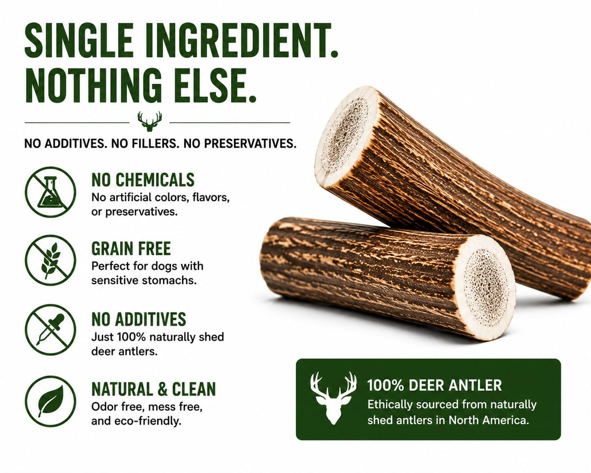 Deer Antler Dog Chews One Pound H546