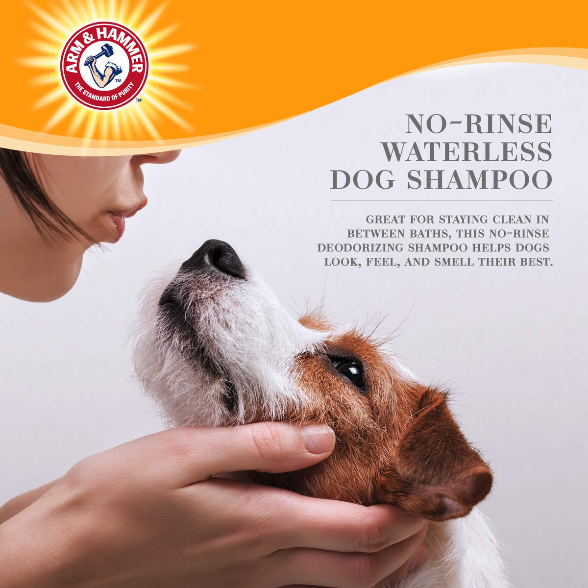 Waterless Dog Shampoo Foam 8 Fl Oz Q487329