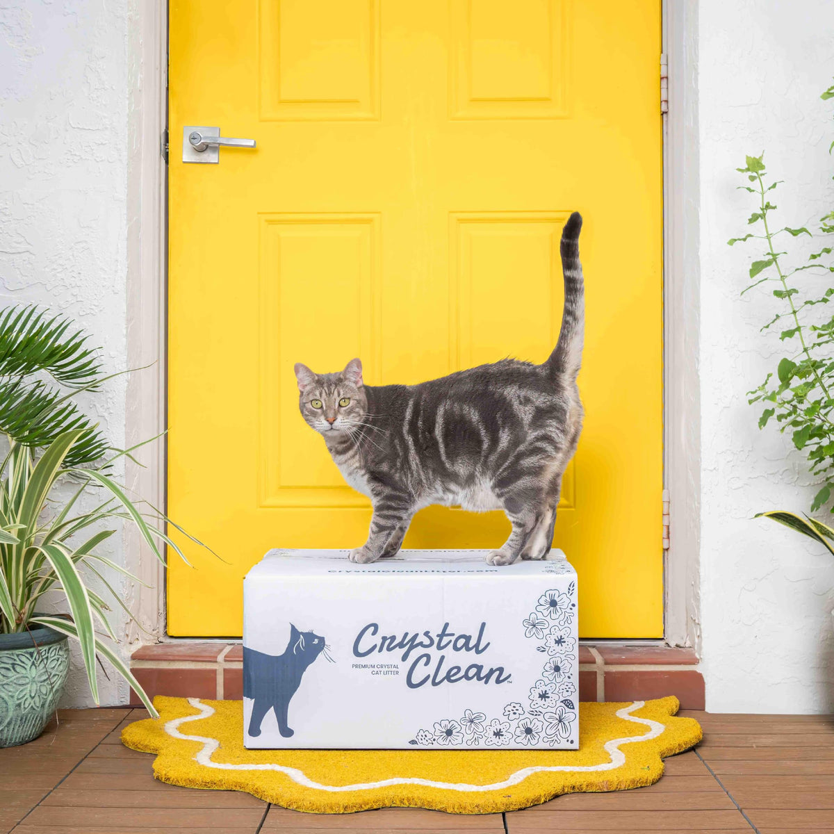 Fresh Scent Crystal Cat Litter with Odor Control, 2X4.3 Lb Bags P6969