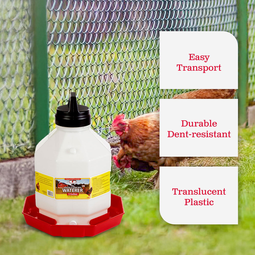 5 Gallon Hanging Automatic Poultry Waterer Dispenser, 2-Pack T880252