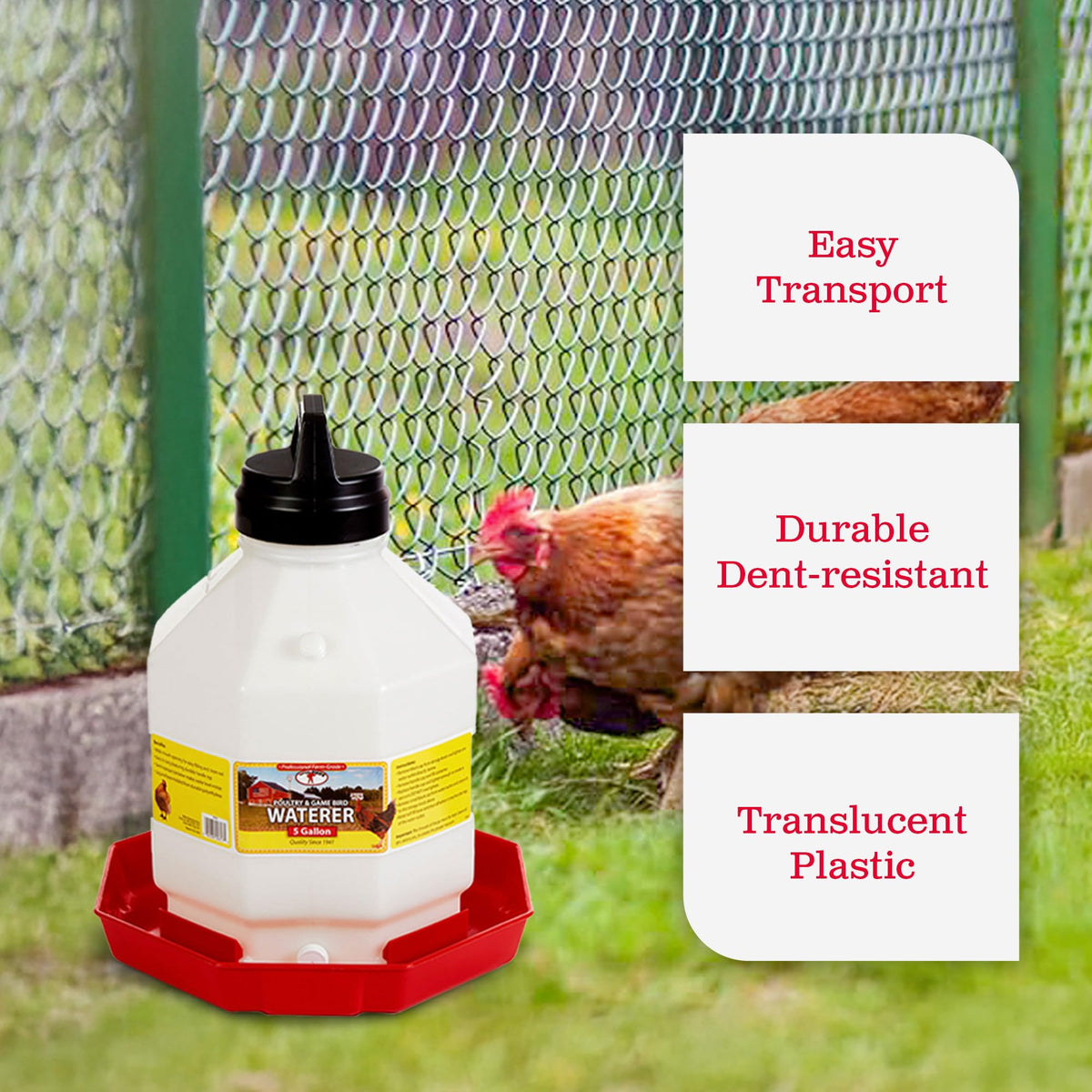 5 Gallon Hanging Automatic Poultry Waterer Dispenser, 2-Pack T880252
