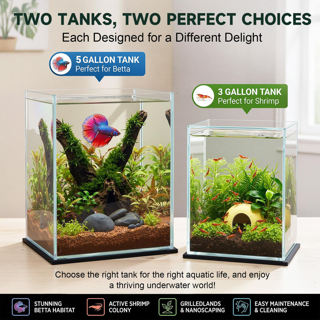 2 Pack Rimless Glass Aquarium Set H889209