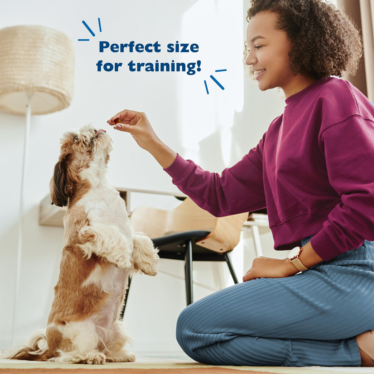 Chicken Liver Flavor Soft Training Dog Treats 20oz 3-Pack B78439