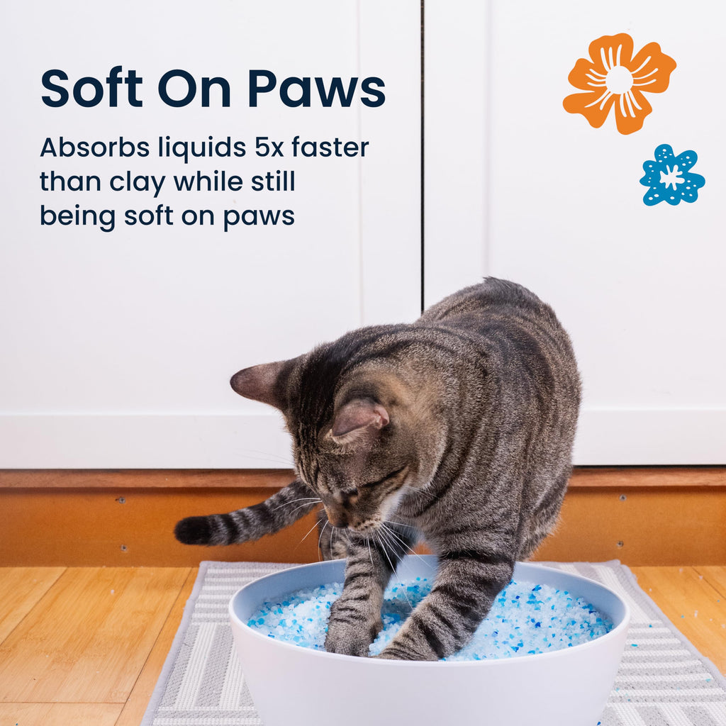 Fresh Scent Crystal Cat Litter with Odor Control, 2X4.3 Lb Bags P6969
