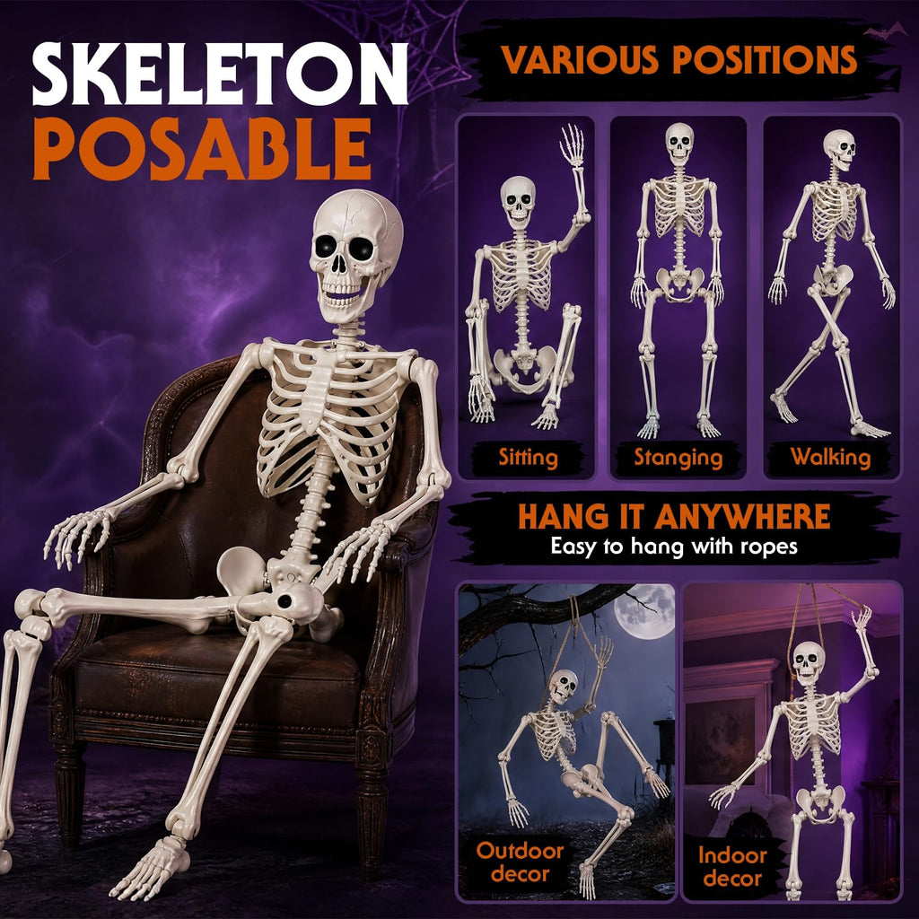 Poseable Life Size Skeleton Z4671
