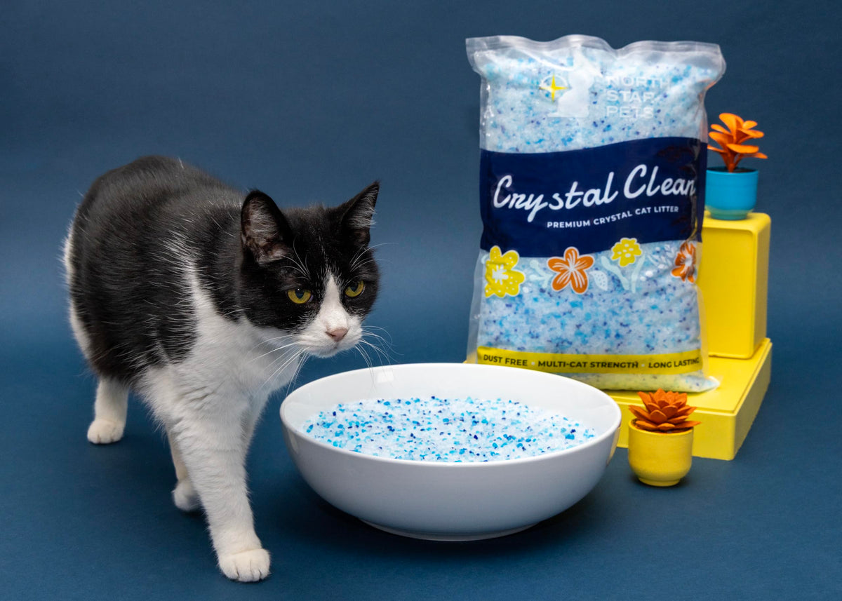 Fresh Scent Crystal Cat Litter with Odor Control, 2X4.3 Lb Bags P6969