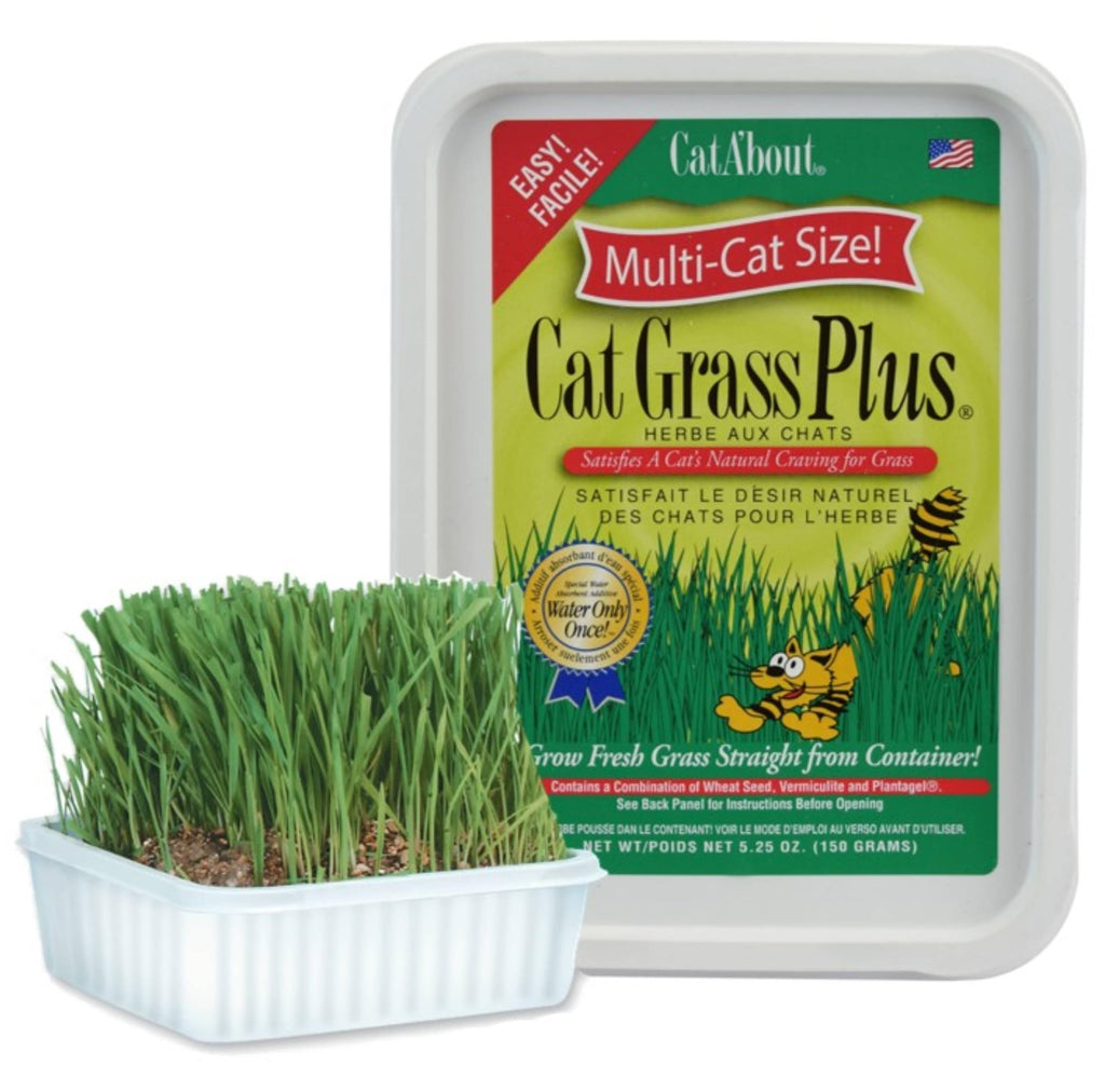 Cat Grass Kit J89523