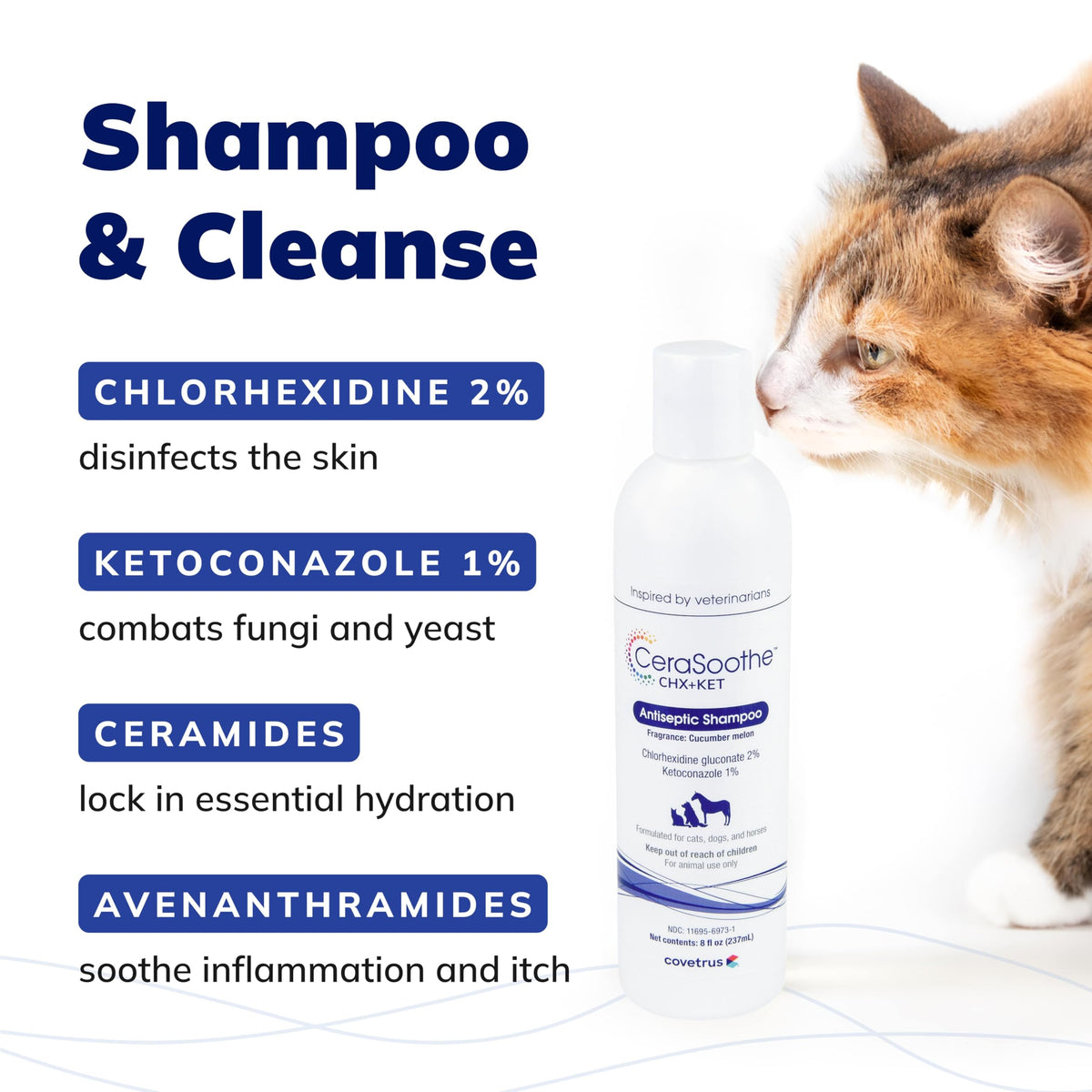 Chlorhexidine Ketoconazole Antiseptic Shampoo 16 oz P7934