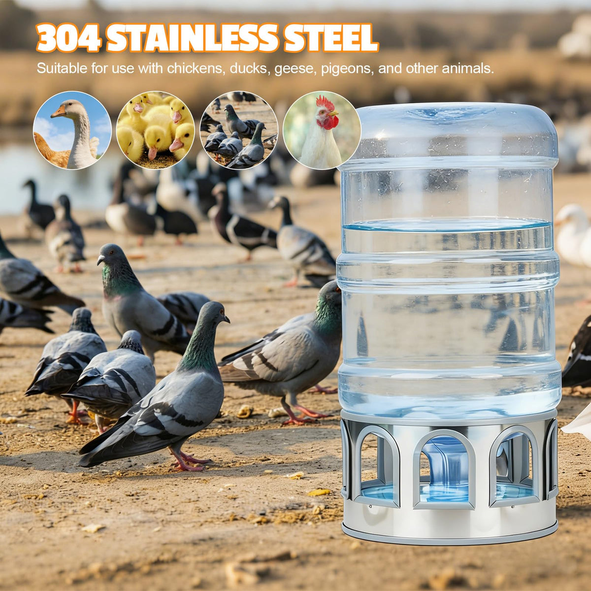 5 Gallon Stainless Steel Poultry Waterer Base with 9 Guarded Drinking Ports D6054