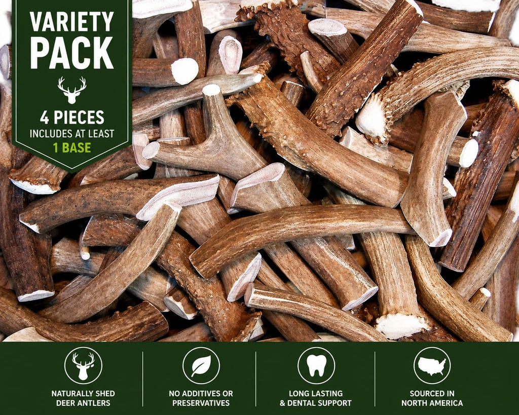 Deer Antler Dog Chews One Pound H546
