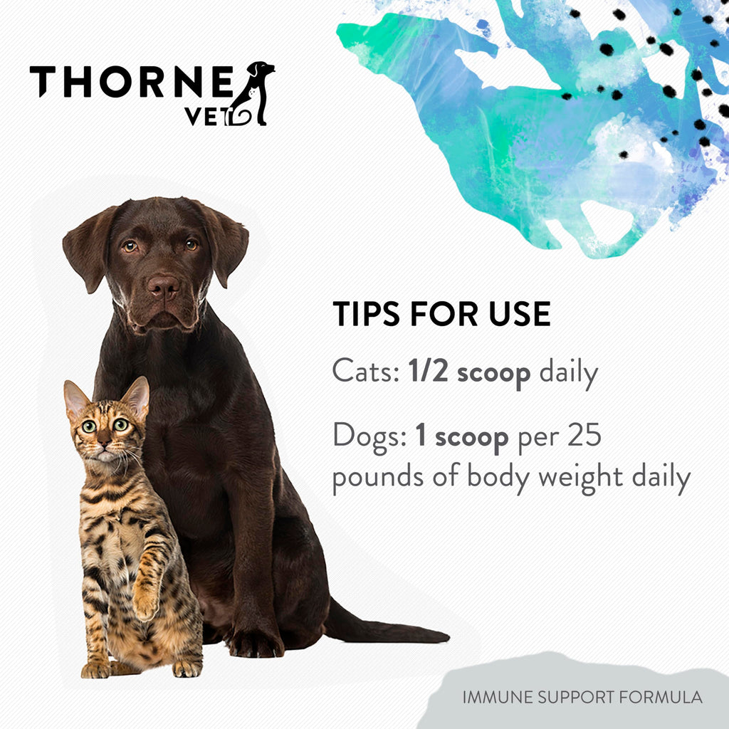 Immune Support Powder for Dogs & Cats, 90 Scoops F54082