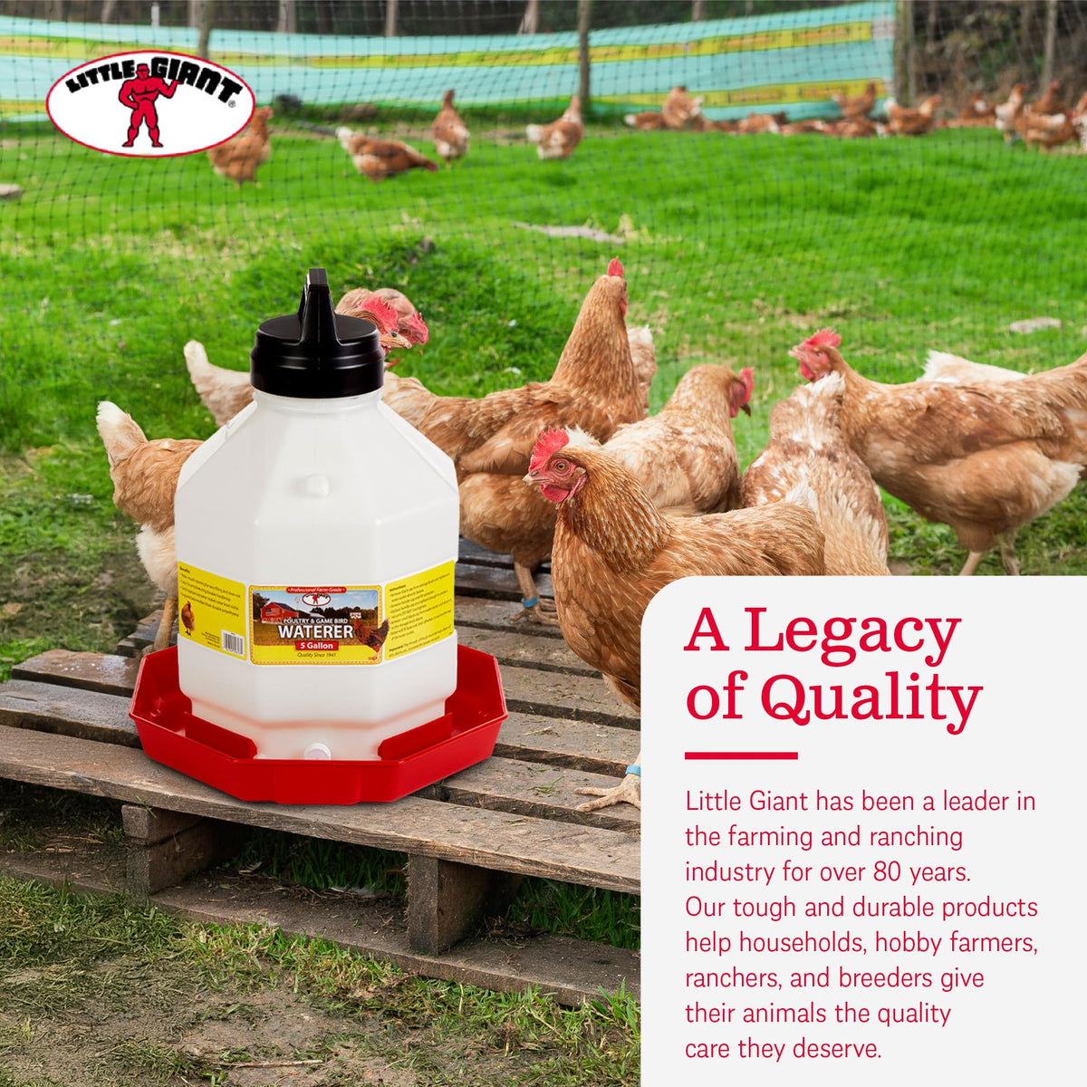 5 Gallon Hanging Automatic Poultry Waterer Dispenser, 2-Pack T880252
