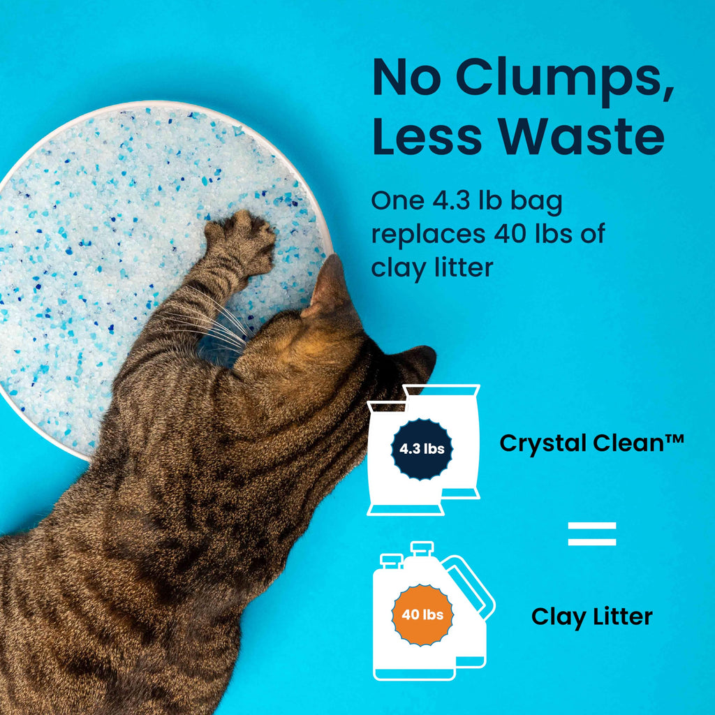 Fresh Scent Crystal Cat Litter with Odor Control, 2X4.3 Lb Bags P6969