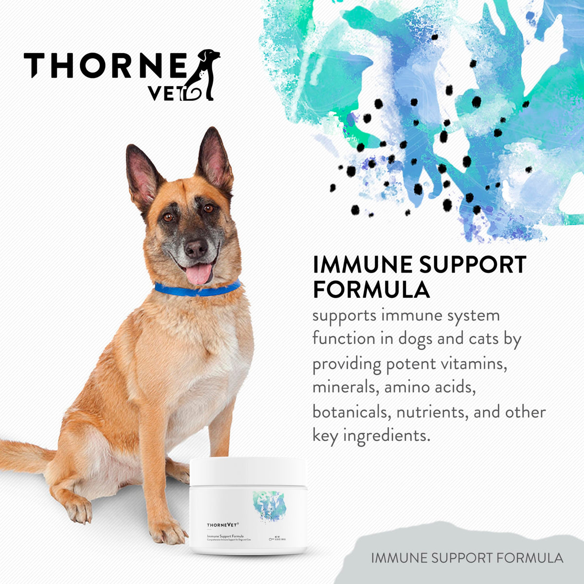 Immune Support Powder for Dogs & Cats, 90 Scoops F54082