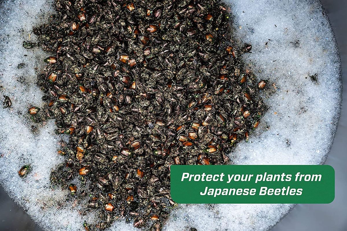 Japanese Beetle Trap F327